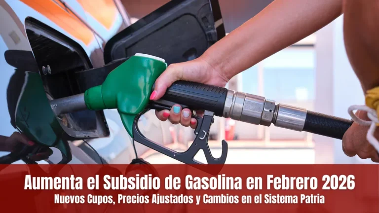 Subsidio de Gasolina en Febrero 2026